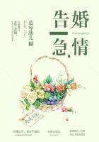 总裁想复婚的第n天