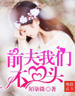 前夫不再见全文免费读