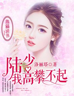 陆少 我高攀不起