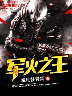 军火之王1-100集全免费