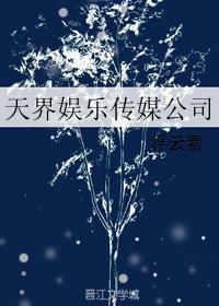 天娱传媒简介