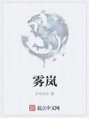 雾岚攻坚战