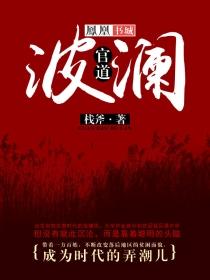 官道波澜张德民的结局