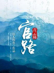 官场青云梯大结局