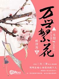 一世繁花似锦的意思
