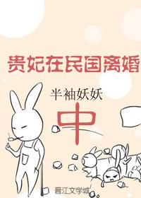 贵妃在民国离婚中txt宝书