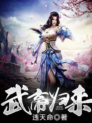 武帝归来第二集