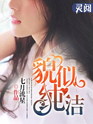 貌似纯洁作家都写过哪些