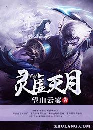 灵虚怎么带