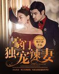 豪门辣妻
