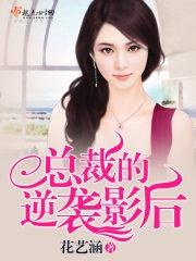 总裁的逆袭之路