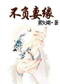 不负妻缘 雾矢翊番外