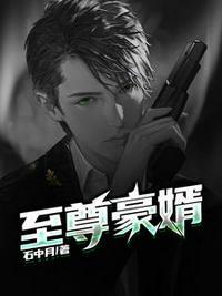 至尊神婿叶昊郑漫儿全