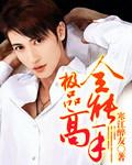 极品全能高手夏天免费阅读全文