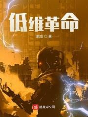 低维革命书评