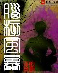 脑核风暴txt奇书网