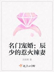 辰少的婚然心动