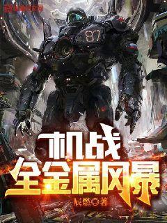 机战全金属风暴免费听书