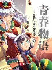 爱情公寓物语攻略