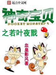 神奇宝贝之叶阳