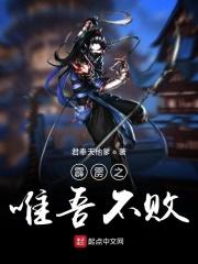 霹雳之纵横万界