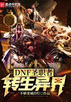 dnf圣职者异界纵横