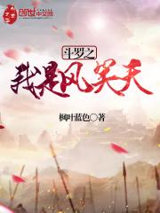 斗罗之我是风笑天听书