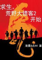荒野大镖客 开局