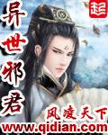 异世邪君精校版