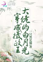 穿成摄政王的画中喵晋江