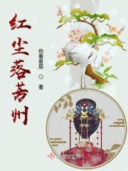 红尘芳华意思