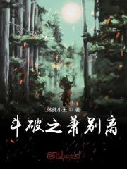 斗破之萧章
