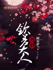 钦差大人作者