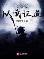 西游之以武证道博看