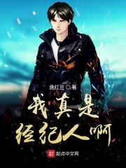 我只是个经纪人十八