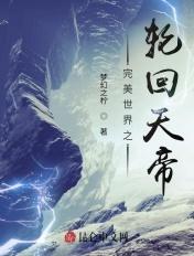 完美世界轮回之力