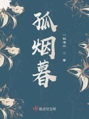 孤烟暮蝉多少岁