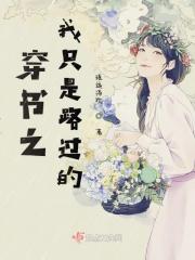我只是路过英文怎么说