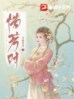 惜芳时起点全文阅读免费无弹窗
