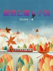 爱情公寓原著
