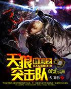 抗战之天狼突击队顶点